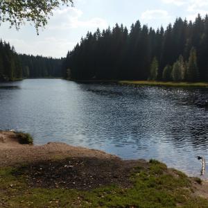 vogtlandsee moor waldsee fkk outdoor in muldenhammer poppen de