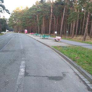 Nutten aus Seehausen (Altmark)