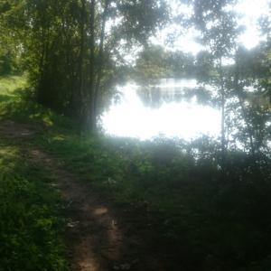baggersee sex fkk freiburg baggersee sex fkk freiburg